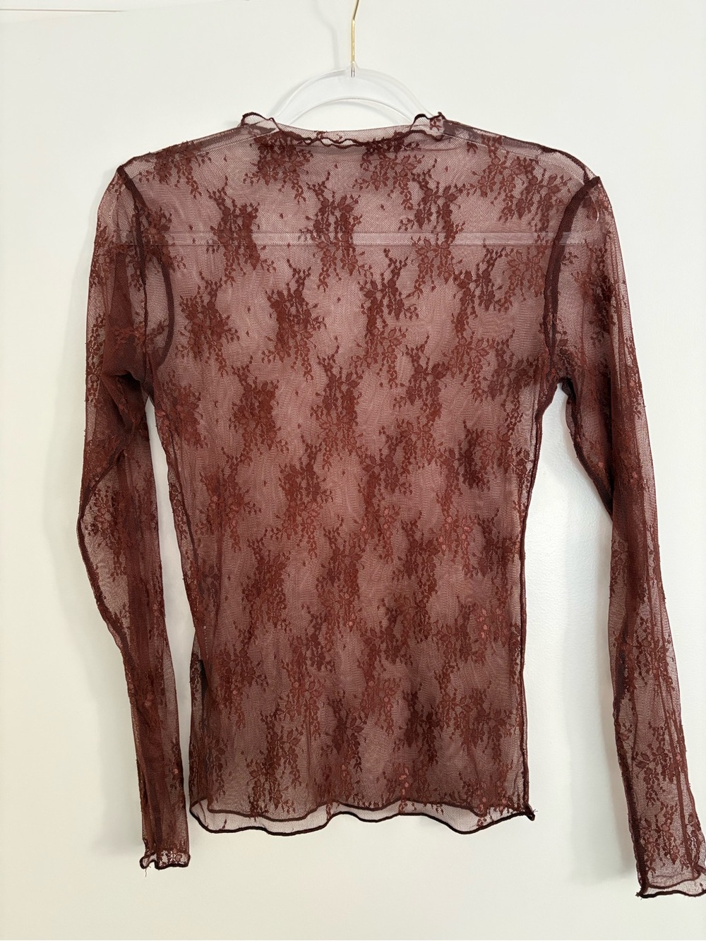Free People Sheer Lace Long Sleeve Top in Brown